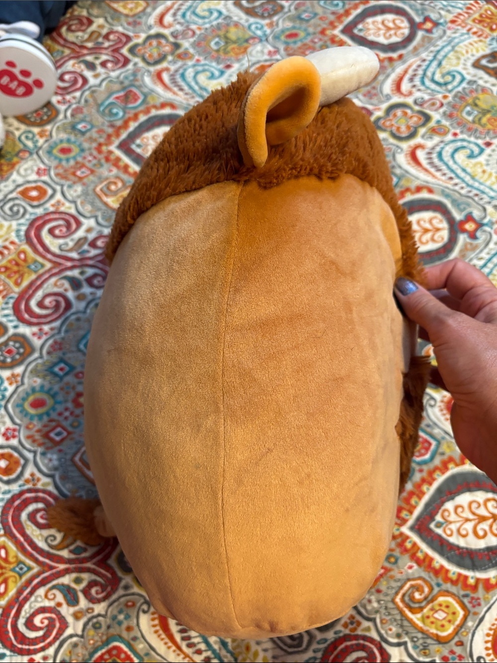 Original Squishmallows Plush - Dunkie the highland cow Brown Squishmallow - Picture 6 of 10